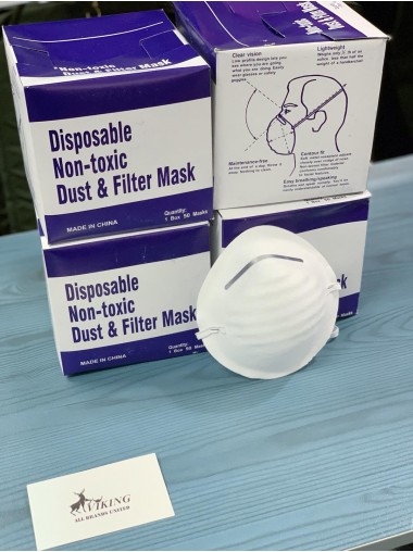 Nuisance Dust and Filter Mask (50pcs)